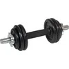Eb Fit Lietinis hantelių rinkinys 7kg su dėklu