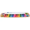 Hape - Baby Einstein - Magic Touch klaviatūros muzikinis žaislas (800891)