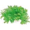 Happet Dirbtinis augalas 10cm