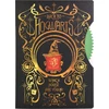 Atsiprašau, bet pateiktas įvesties tekstas yra tik „Harry Potter ThumbsUP! Notizbuch - Harry Potter“. Šiame tekste nėra lenkiškų žodžių, kuriuos reikėtų išversti, ir nėra papildomo konteksto ar ilgesnio aprašymo, kurį reikėtų versti. Visi žodžiai (Harry Potter, ThumbsUP!, Notizbuch) yra prekės ženklai, modelių pavadinimai arba svetimžodžiai, kurių nereikia versti pagal taisykles. Jei turite ilgesnį produktų aprašymą su lenkiškais žodžiais, prašau pateikti jį, ir aš jį išversiu į lietuvių kalbą.
