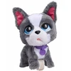 justplay Hasbro *****FRF Prancūzų buldogas vaikščiojantis su pavadėliu 81617
