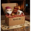 Blue Sky Studios BlueSkyStudios SK Harry Potter Mystery Box