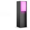 Helios Philips Turaco Hue pedestal anthracite 1xA60 WCA