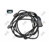 Hella Blic Parkavimo daviklių laidynas BMW 3 F30/F31, 3 GT F34 2011-