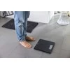 Virtuvinės svarstyklės Soehnle Elektroninės svarstyklės Style Sense Comfort Coral 4006501638854