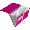 Herlitz Failas A4, Rausvas (11217114)