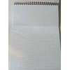 Bloknotas su spirale A5 50l langeliais 00110536 HERLITZ/10