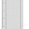 Herlitz Notebook A4, 80 puslapių (306456)
