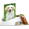 Herma Sammelmappe A3 Hunde polipropilenas (7144)