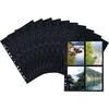 Nuotraukų rėmelis HERMA 7785 įmautė dokumentams 100 x 150 mm Polipropilenas (PP) 10 vnt