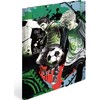 Herma HERMA kolekcijos aplankai, kartoniniai, A4 formato, gatvės futbolo