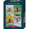 Dėlionė Heye Puzzle 2000 vienetų – keturi sezonai