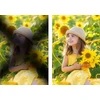 Hibridinis filtras 3in1 K&f 52 mm 52 mm Fader Nd2-32 + Cpl + Juodas Diffusion 1/4 / Kf01.2063