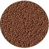 Hikari Betta Bio Gold visavertis pašaras Betta žuvims (gaideliams) 5 g