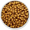 Šunų Maistas - Hill's Canine Liver Care 4kg