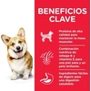 Hill's Dog Science Plan Adult Small & Miniature vištiena & kalakutiena sausas Maistas šunims 6kg