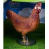 Hipo Farma Pets ančių vištienos žąsis 570447 06844