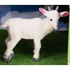 Hipo Farma Pets avinė kiaulė ožka 570449 06905