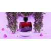 Diane Castel Lady Cherie EDP parfumuotas vanduo moterims, 100 ml