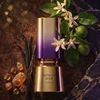 French Avenue Hypnotic Gold PP kvepalai unisex, 100 ml