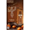 French Avenue Vulcan Sable EDP parfumuotas vanduo unisex, 100 ml