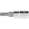 Hogert Technik Tamperinis torx bito lizdas su 25 mm, 1/4" skyle