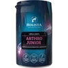 HOLISTA Arthro Junior – papildai šunims ir katėms – 200g