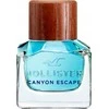 Hollister Canyon Escape For Him tualetinis vanduo su purškikliu 100ml