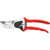 Sekator Home It nuoma