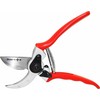 Sekator Home It nuoma