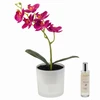 Home Styling Collection Dirbtinė orchidėja stiklinėje vazone su LED apšvietimu ir kvapų purškikliu, aukštis 30 cm