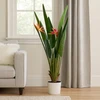 Home Styling Collection Dirbtinis augalas smėlio spalvos vazone ORNO, Ø 65 x 120 cm