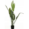 Home Styling Collection Dirbtinis augalas dideliais lapais, 118 cm