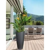 Honeywell Plastikinis vazonas Scheurich, Ø50.5 cm