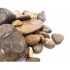 HORECA - SUROWCE WIO Elderly Gravel, żwir, dekoracyjny, pilka/juoda/balta, 2kg, maišelis