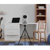 Projektorius HP CC360