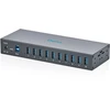 HUB USB Digitus DA-70262 10x USB-A 3.2 Gen1 (DA-70262)