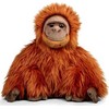 Hunter Pliušinis orangutanas
