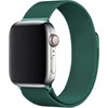 Išmaniojo laikrodžio Apple 7 /8magnetinis Hurtel dirželis, Žalios spalvos, 41mm