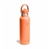Hydro Flask BEA termo butelis su šiaudeliu, 621 ml