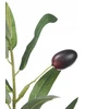 Ibergarden Dekoratyvinis alyvmedis, 58 cm