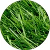 Ibergarden Dirbtinė balkono žolė, ritinėlis, aukštis 2,2 cm, 1 x 2 m
