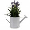 Bikuva.lt Laistytuvas metalinis balta spalva 2 l Ibergarden 49085