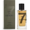 Iceberg Eau de Iceberg Amber EDT tualetinis vanduo vyrams, 100 ml