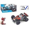 Icom R/C mix visureigis