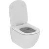 Ideal_Standa WC SET TESI WITH FRAME AND CHR BUTTON