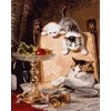 Ideyka Skaičių tapyba - Sūrio fanai 40x50cm