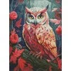 Ideyka Deimantinis siuvinėjimas su rėmeliu Deimantinė mozaika 30x40cm Spalvinga pelėda su cirkoniais AB