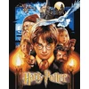 Ideyka Tapyba pagal skaičius: "HARIS POTERIS" plakatas su metaliko dažais Warner Bros 40x50 dėžutėje