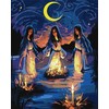 Ideyka Tapyba pagal numerius - Magic Night 40x50cm